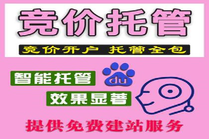 SEM广告投放的竞价策略与效果评估案例
